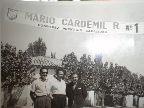 Archivo:Mario Cardemil propaganda.jpg