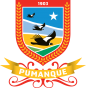 Escudo de Pumanque