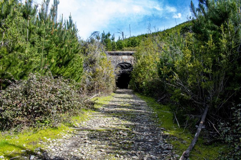 Archivo:Túnel El Árbol, 2022.jpg