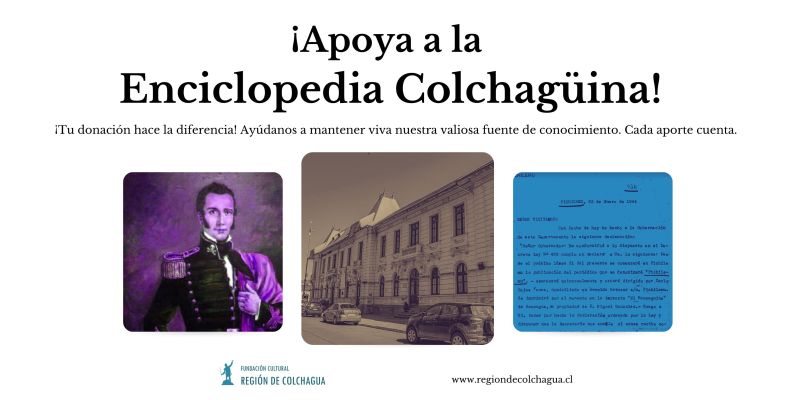 Archivo:Donación Enciclopedia Colchagüina 2023.jpg