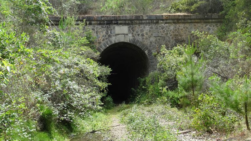 Archivo:Túnel El Árbol.jpg